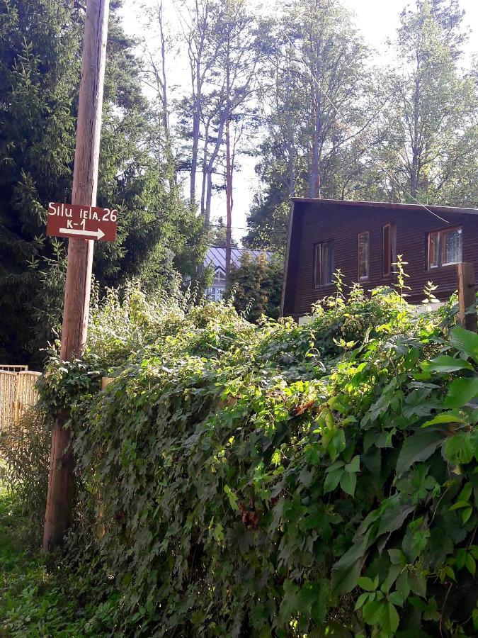 Home Jūrkalne エクステリア 写真